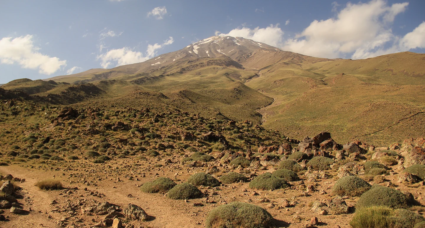 Iran E Visa Information About Visa Application Form To Apply Online