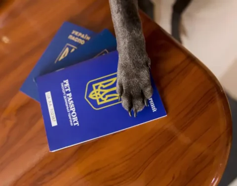 Pet passport