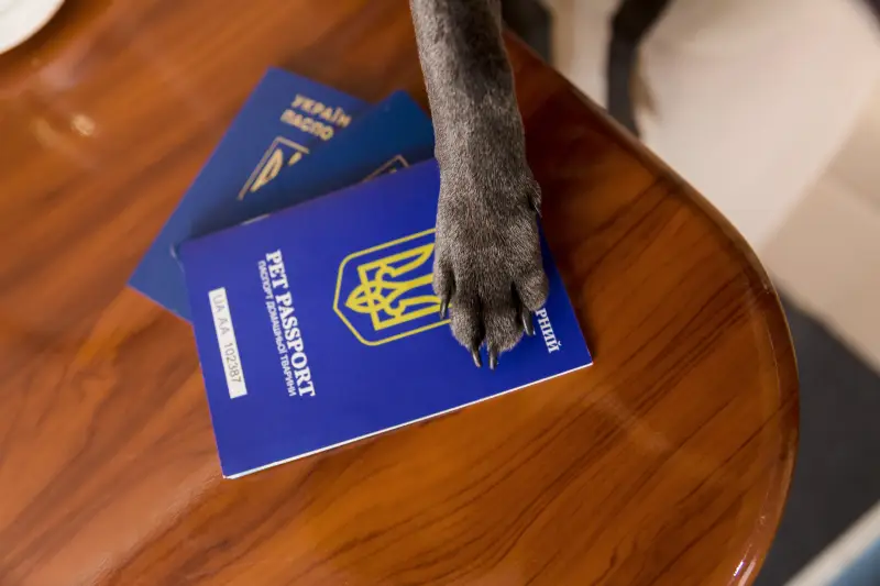 Pet passport