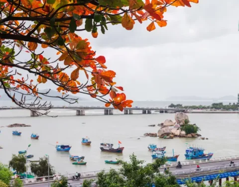Travel to Vietnam from the USA